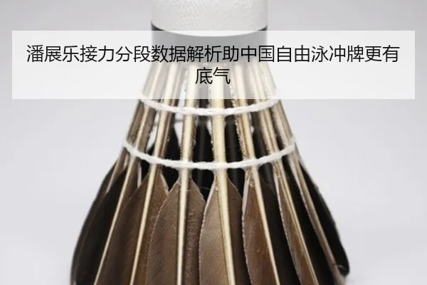 pan-zhan-le-jie-li-fen-duan-shu-ju-jie-xi-zhu-zhong-guo-zi-you-yong-chong-pai-geng-you-di-qi-2-739.jpg